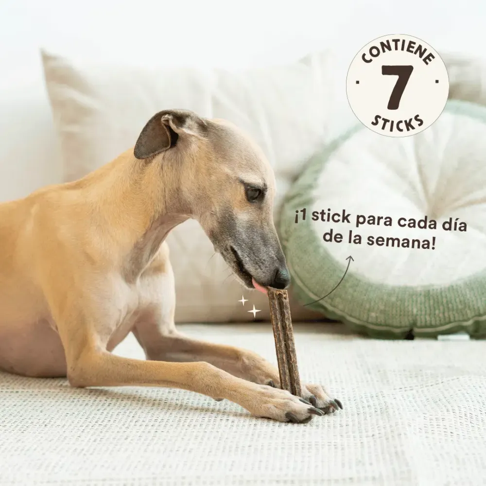 Stick Dental Fuera Placa Ternera (pack 7UD)