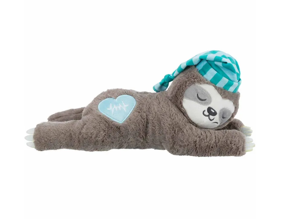 Oso perezoso con latido - cachorros