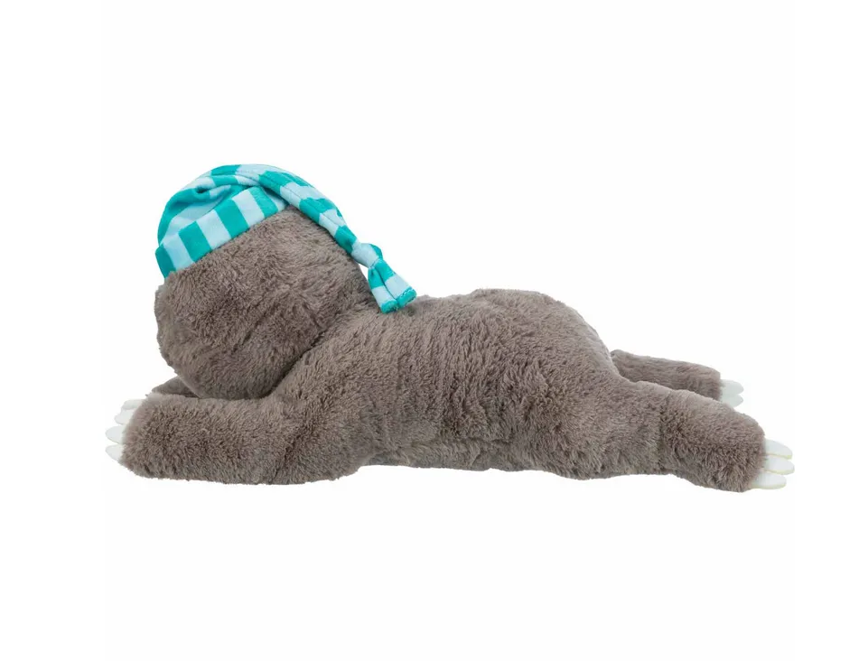 Oso perezoso con latido - cachorros