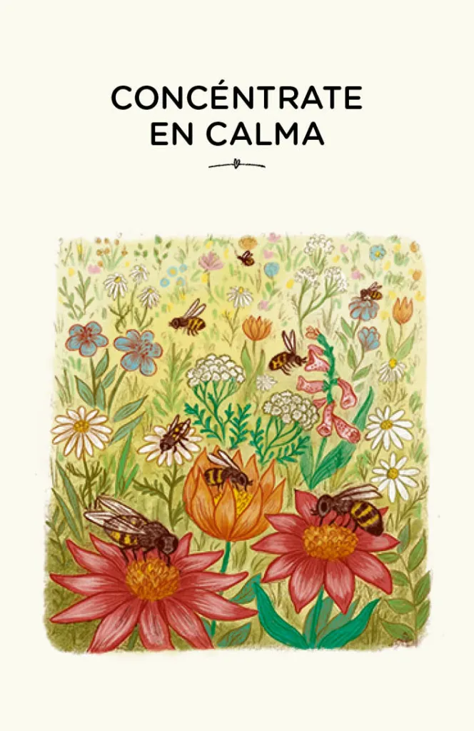 Con calma. 30 actividades Mindfulness. Emily Sharratt / Freya Hartas. (Cartas)