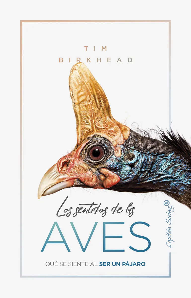 Los sentidos de las aves. Qué se siente al ser un pájaro. Tim Birkhead.