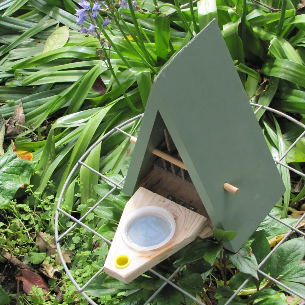 Habitat de mariposas (refugio y comedero)