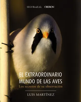 El extraordinario mundo de las aves. Los secretos de su observación. Luis Martínez.