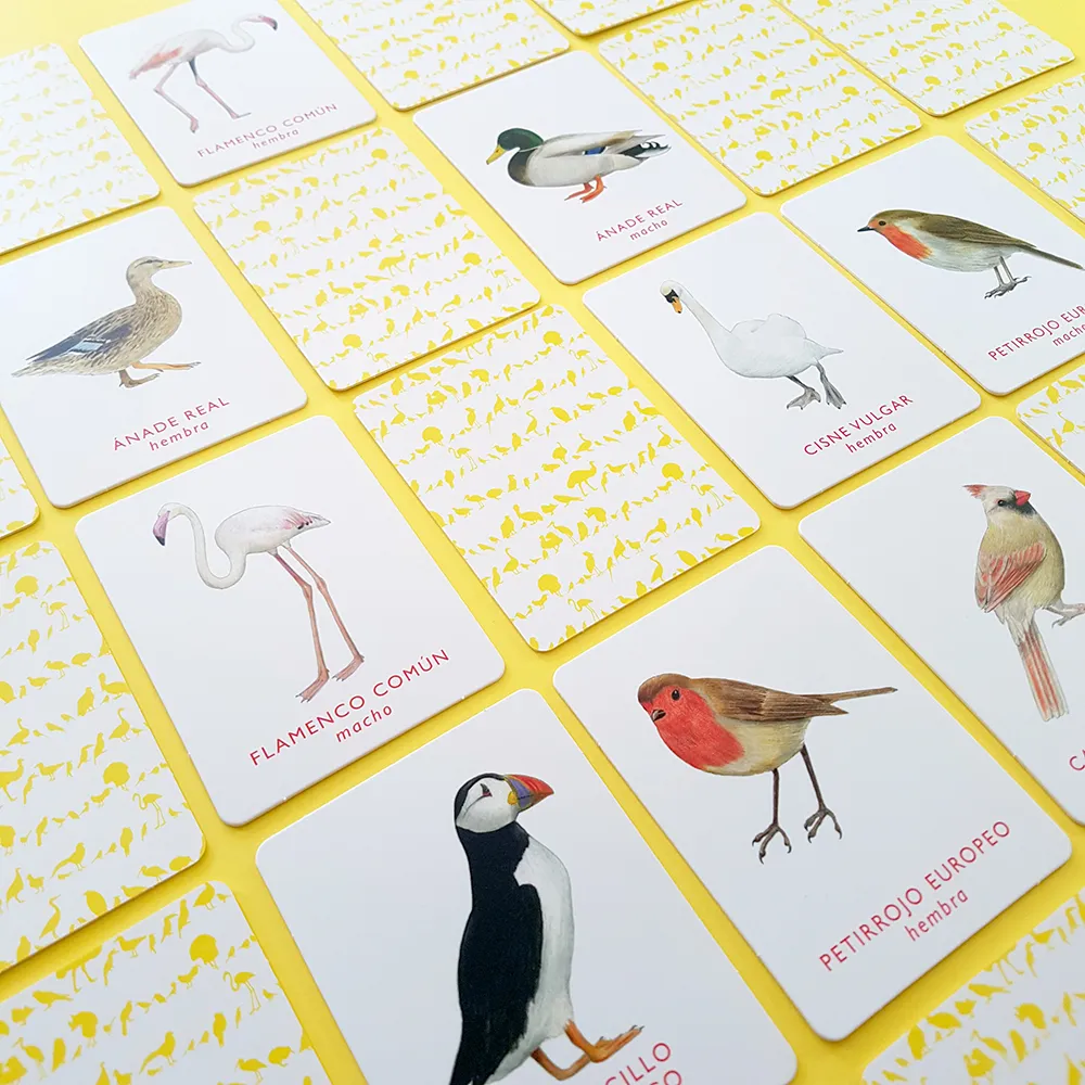 Un par de aves. Juego de memoria.