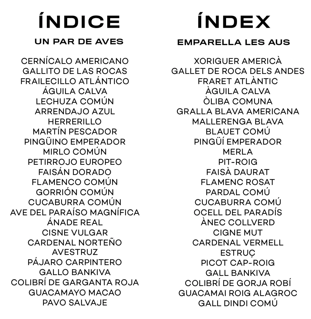 Un par de aves. Juego de memoria.