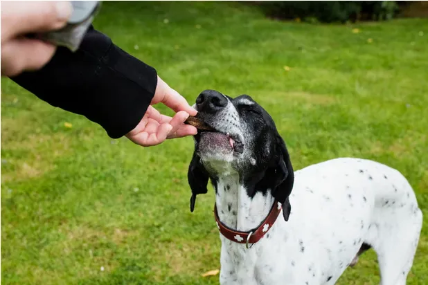 Carne de avestruz 250g