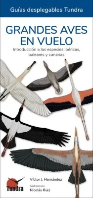 Grandes aves en vuelo. Guía desplegable.