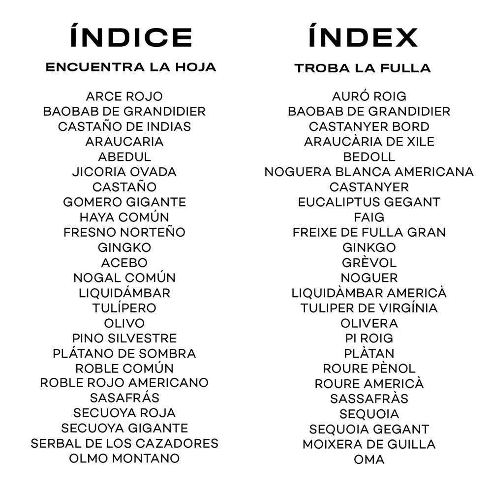Encuentra la hoja. Juego de memoria.