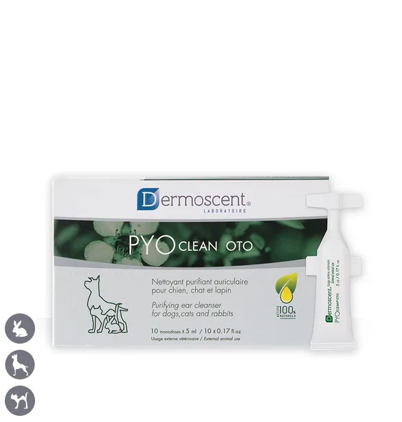 PYOclean® Oto (Otitis recurrentes y Biofilms)