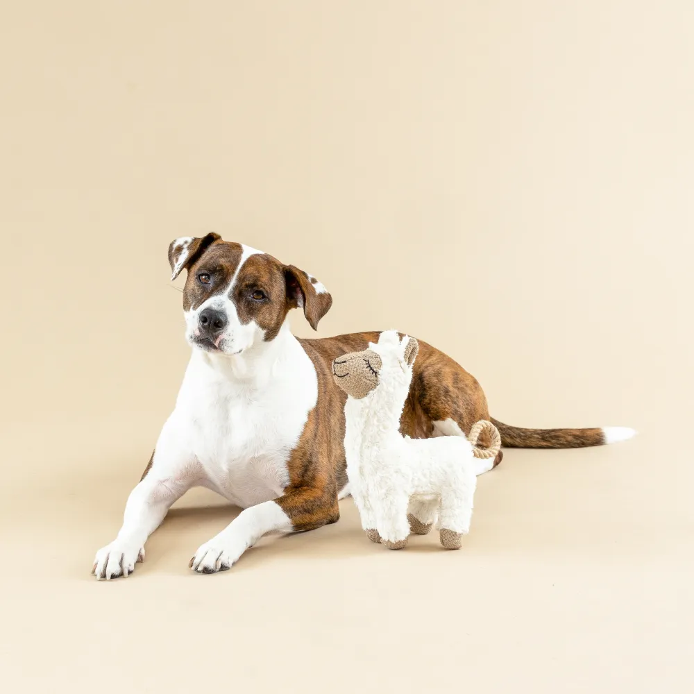 Llama dos texturas con cuerda