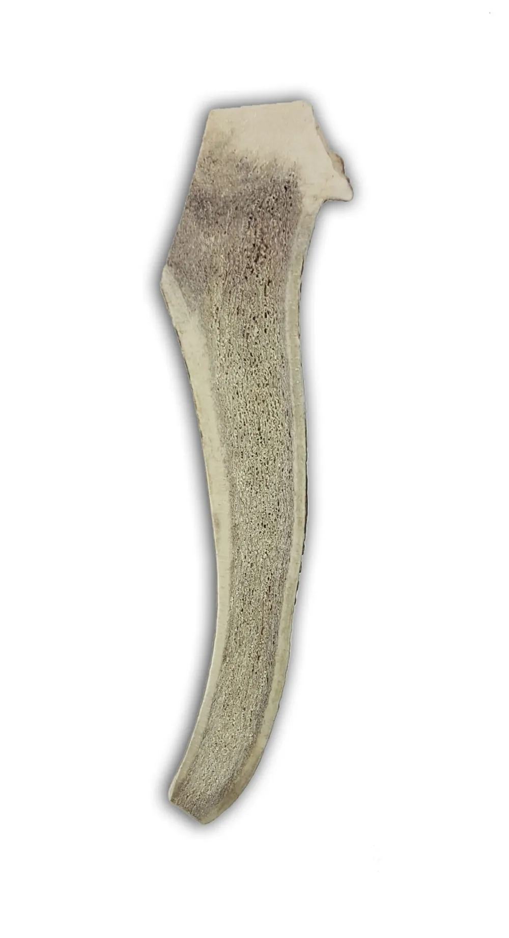 Asta de ciervo partida