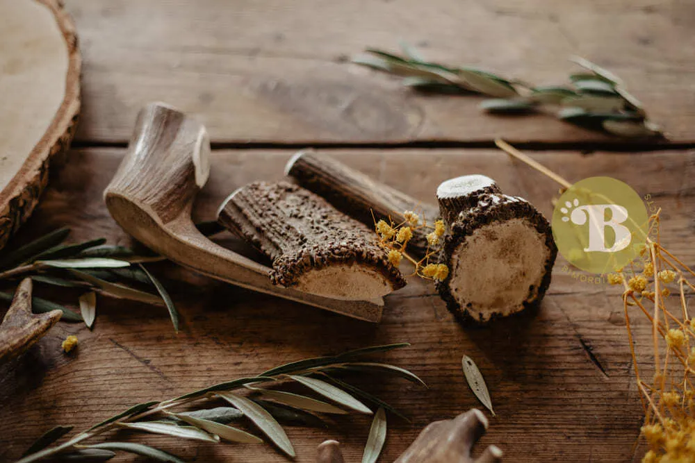 Asta de ciervo partida