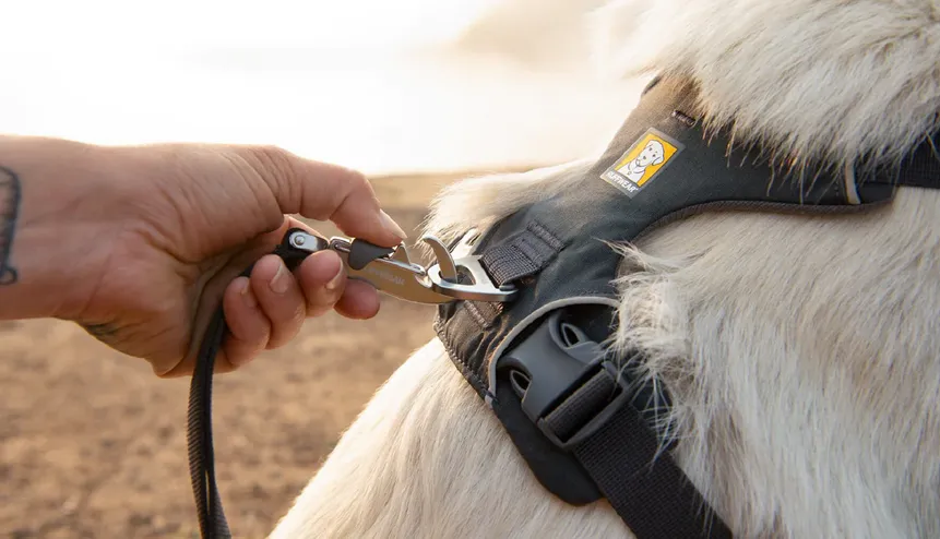 Front Range® Dog Harness Coastal Mountains