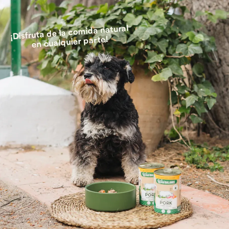 Menú de cerdo cocinado al vapor 400g