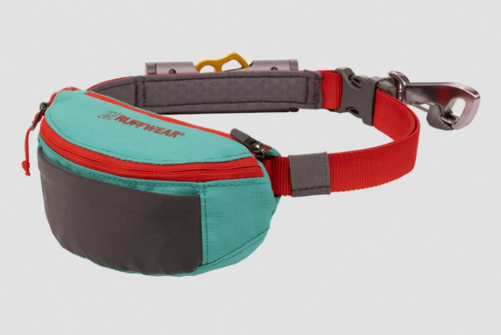 Hitch HikerTM Leash  Aurora Teal (cinturón+correa)