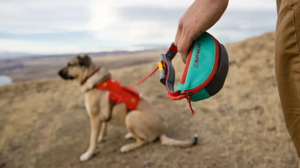 Hitch HikerTM Leash  Aurora Teal (cinturón+correa)