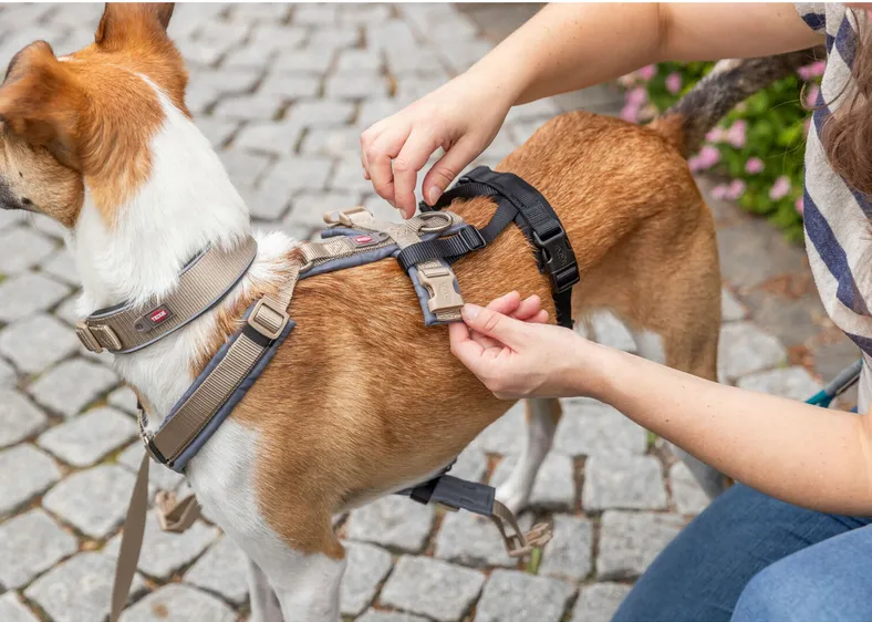 Adaptador antiescape para arnés