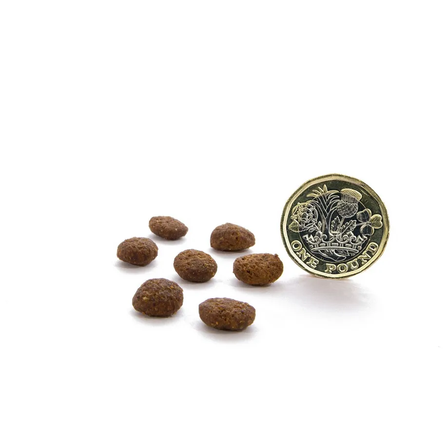 Menú pavo campero prodental