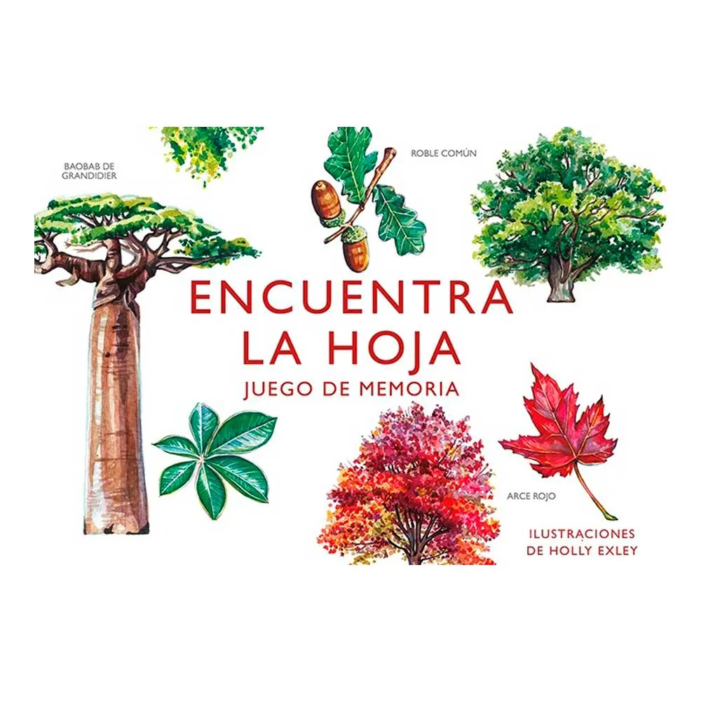 Encuentra la hoja. Juego de memoria.