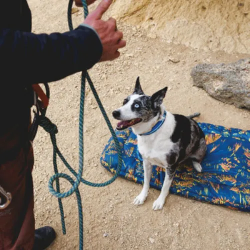 Basecamp Bed Deep Jungle