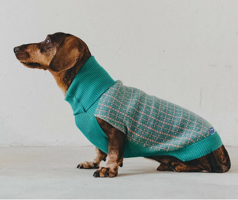 Jersey Lisboa Verde 40